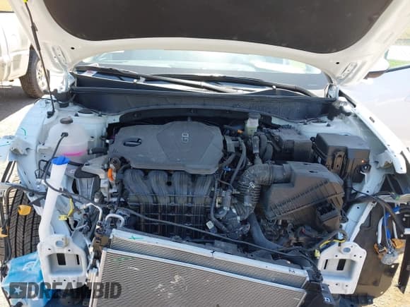 ✅ 2025 Hyundai Tucson SEL • VIN: 5NMJB3DE5SH555616 • Лот: 43202065. Опубликован ранее на IAAI с пробегом 271 миль. Бесплатный доступ к архиву аукционных продаж из США и подробный отчёт об истории автомобиля на DreamBid. Изображение 10.