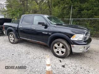 ✅ 2009 Dodge 1500 SLT • VIN: 1D3HV13T19S702739 • Lot: 55923585. Wystawiony na Copart z przebiegiem 125 251 mil. Bezpłatny archiwum sprzedaży aukcyjnych z USA i szczegółowy raport historii pojazdu na DreamBid. Zdjęcie 4.