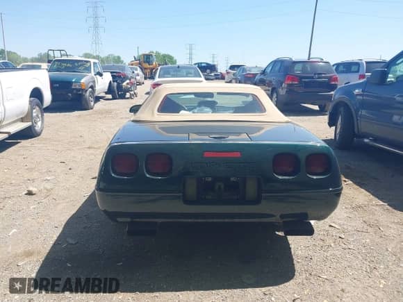 ✅ 1995 Chevrolet Corvette • VIN: 1G1YY32P4S5100608 • Lot: 42227492. Wystawiony na IAAI z przebiegiem 82 111 mil. Bezpłatny archiwum sprzedaży aukcyjnych z USA i szczegółowy raport historii pojazdu na DreamBid. Zdjęcie 16.
