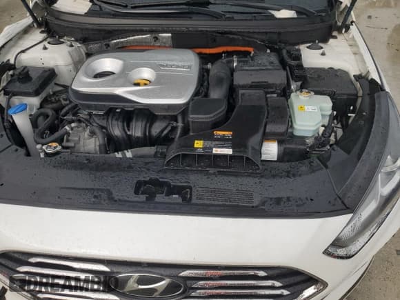 ✅ 2019 Hyundai Sonata • VIN: KMHE14L27KA093101 • Лот: 69629844. Опубликован ранее на Copart с пробегом 34 147 миль. Бесплатный доступ к архиву аукционных продаж из США и подробный отчёт об истории автомобиля на DreamBid. Изображение 11.