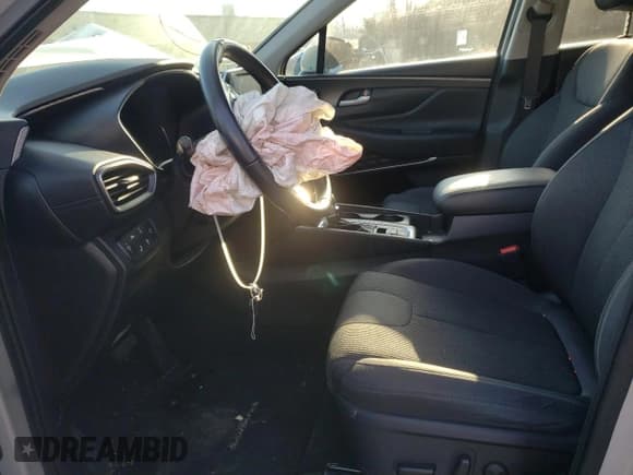 ✅ 2019 Hyundai Santa Fe SEL • VIN: 5NMS3CAD9KH058758 • Лот: 72594842. Опубликован ранее на Copart с пробегом 25 022 миль. Бесплатный доступ к архиву аукционных продаж из США и подробный отчёт об истории автомобиля на DreamBid. Изображение 7.