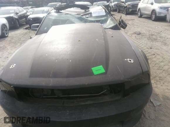 ✅ 2008 Ford Mustang GT Deluxe • VIN: 1ZVHT82H085159432 • Lot: 41028320. Listed on IAAI with 220,383 mi. Free auction sales archive from the USA and detailed vehicle history report at DreamBid. Image 12.