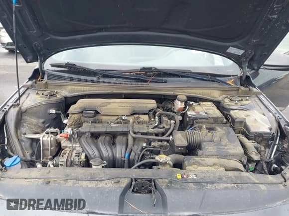 ✅ 2021 Hyundai Elantra SE • VIN: 5NPLL4AG9MH045714 • Lot: 43196904. Listed on IAAI with 101,409 mi. Free auction sales archive from the USA and detailed vehicle history report at DreamBid. Image 10.