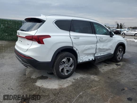 ✅ 2023 Hyundai Santa Fe SEL • VIN: 5NMS2DAJ8PH599810 • Lot: 38441824. Wystawiony na Copart z przebiegiem 4 411 mil. Bezpłatny archiwum sprzedaży aukcyjnych z USA i szczegółowy raport historii pojazdu na DreamBid. Zdjęcie 3.