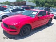 ✅ 2005 Ford Mustang Deluxe • VIN: 1ZVFT80N855144821 • Lot: 42526806. Listed on IAAI with 159,241 mi. Free auction sales archive from the USA and detailed vehicle history report at DreamBid. Image 2.