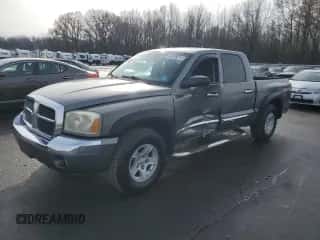 ✅ 2005 Dodge Dakota Laramie • VIN: 1D7HW58N25S204671 • Лот: 83838314. Размещён на Copart с пробегом 122 540 миль миль. Получите бесплатный доступ к архиву аукционных продаж из США и посмотрите подробный отчёт об истории автомобиля на DreamBid. Изображение 1.
