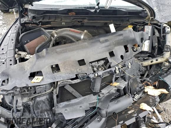 ✅ 2015 Ram 1500 Lone Star • VIN: 1C6RR6LT2FS613828 • Lot: 95088645. Listed on Copart with Not provided. Free auction sales archive from the USA and detailed vehicle history report at DreamBid. Image 11.