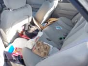 ✅ 2008 Hyundai Sonata GLS • VIN: 5NPET46CX8H345797 • Лот: 41427357. Опубликован ранее на IAAI с пробегом Не указан. Бесплатный доступ к архиву аукционных продаж из США и подробный отчёт об истории автомобиля на DreamBid. Изображение 8.