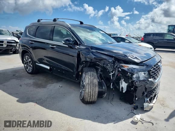 ✅ 2022 Hyundai Santa Fe Calligraphy • VIN: 5NMS5DAL9NH448853 • Lot: 85154805. Listed on Copart with 46,082 mi. Free auction sales archive from the USA and detailed vehicle history report at DreamBid. Image 4.