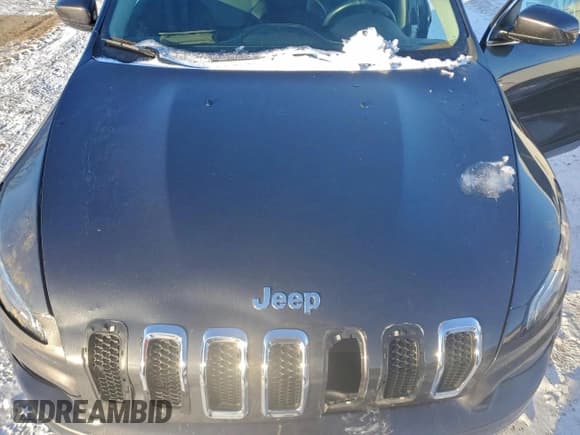 ✅ 2015 Jeep Cherokee Limited • VIN: 1C4PJMDS8FW740741 • Lot: 95142385. Wystawiony na Copart z przebiegiem 104 677 mil. Bezpłatny archiwum sprzedaży aukcyjnych z USA i szczegółowy raport historii pojazdu na DreamBid. Zdjęcie 11.