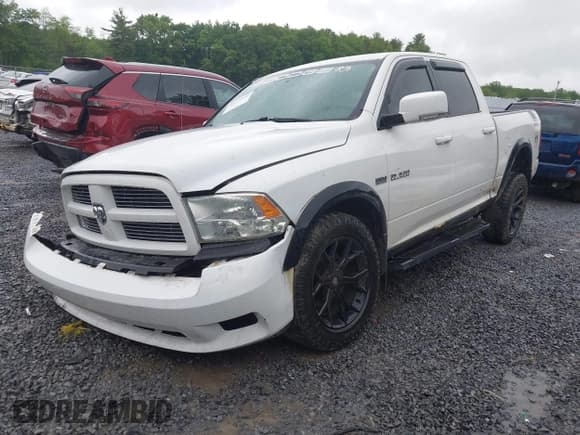 ✅ 2010 Dodge 1500 Sport • VIN: 1D7RV1CT2AS222460 • Lot: 42411990. Wystawiony na IAAI z przebiegiem 158 049 mil. Bezpłatny archiwum sprzedaży aukcyjnych z USA i szczegółowy raport historii pojazdu na DreamBid. Zdjęcie 17.