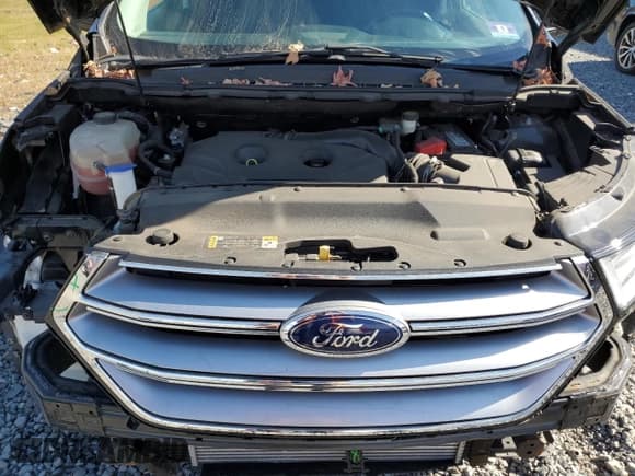 ✅ 2016 Ford Edge SEL • VIN: 2FMPK4J9XGBC55465 • Лот: 85104615. Опубликован ранее на Copart с пробегом 31 418 миль. Бесплатный доступ к архиву аукционных продаж из США и подробный отчёт об истории автомобиля на DreamBid. Изображение 12.