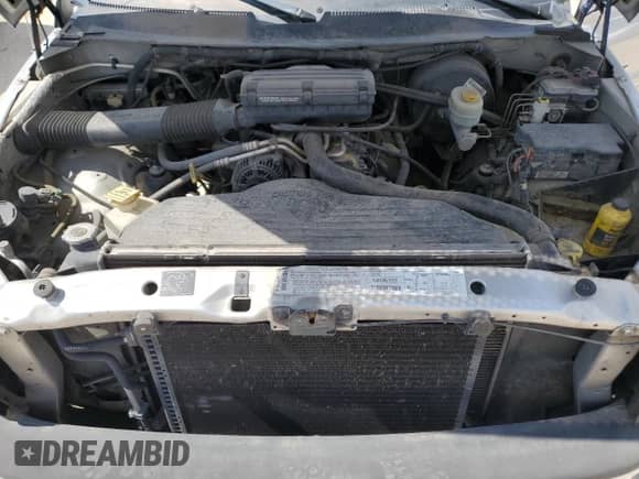 2001 Dodge 1500 с VIN 1B7HF13Z31J603859, выставлен на аукционе Copart как лот 72497834 с пробегом Не указан миль и Списание • Salvage title. История ставок и продаж доступна на DreamBid. Изображение 11.