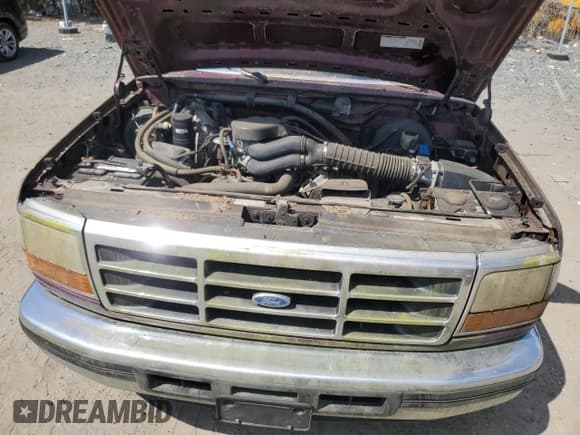 ✅ 1996 Ford F-150 • VIN: 1FTEX14N8TKA40297 • Lot: 71630905. Listed on Copart with 99,367 mi. Free auction sales archive from the USA and detailed vehicle history report at DreamBid. Image 11.