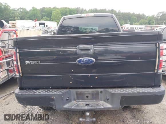 ✅ 2010 Ford F-150 XL • VIN: 1FTEX1EW7AFA75331 • Lot: 42226258. Listed on IAAI with 203,234 mi. Free auction sales archive from the USA and detailed vehicle history report at DreamBid. Image 17.