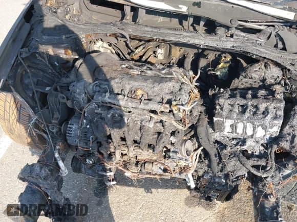 ✅ 2017 Hyundai Elantra SE • VIN: 5NPD84LF3HH056983 • Lot: 42485590. Listed on IAAI with Not provided. Free auction sales archive from the USA and detailed vehicle history report at DreamBid. Image 10.