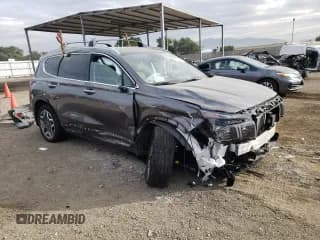 ✅ 2023 Hyundai Santa Fe Limited • VIN: KM8S7DA29PU066833 • Lot: 81000083. Wystawiony na Copart z przebiegiem 13 542 mil. Bezpłatny archiwum sprzedaży aukcyjnych z USA i szczegółowy raport historii pojazdu na DreamBid. Zdjęcie 4.