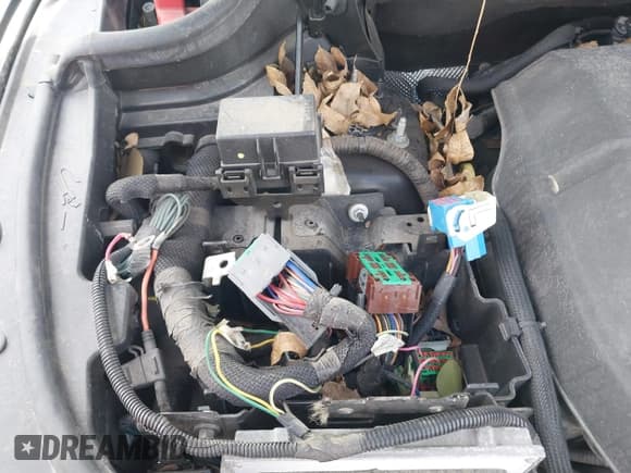 ✅ 2013 Dodge Durango Citadel • VIN: 1C4RDHEG5DC504757 • Lot: 41696972. Listed on IAAI with 133,049 mi. Free auction sales archive from the USA and detailed vehicle history report at DreamBid. Image 21.