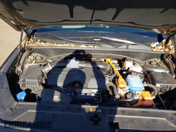 ✅ 2021 Hyundai Santa Fe Blue • VIN: KM8S2DA17MU006650 • Lot: 69803152. Wystawiony na Copart z przebiegiem 17 483 mil. Bezpłatny archiwum sprzedaży aukcyjnych z USA i szczegółowy raport historii pojazdu na DreamBid. Zdjęcie 12.