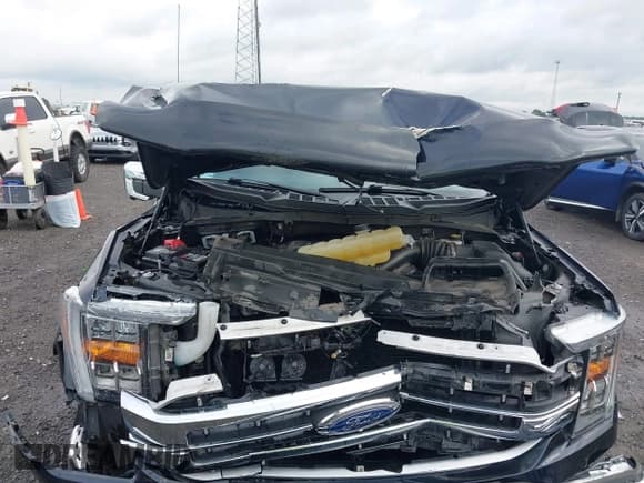 ✅ 2021 Ford F-150 XL • VIN: 1FTFW1E52MKD53675 • Lot: 42492422. Listed on IAAI with 72,900 mi. Free auction sales archive from the USA and detailed vehicle history report at DreamBid. Image 10.