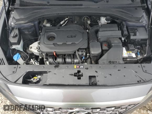 ✅ 2019 Hyundai Santa Fe SEL • VIN: 5NMS3CAD3KH028493 • Lot: 51378074. Wystawiony na Copart z przebiegiem 65 281 mil. Bezpłatny archiwum sprzedaży aukcyjnych z USA i szczegółowy raport historii pojazdu na DreamBid. Zdjęcie 12.