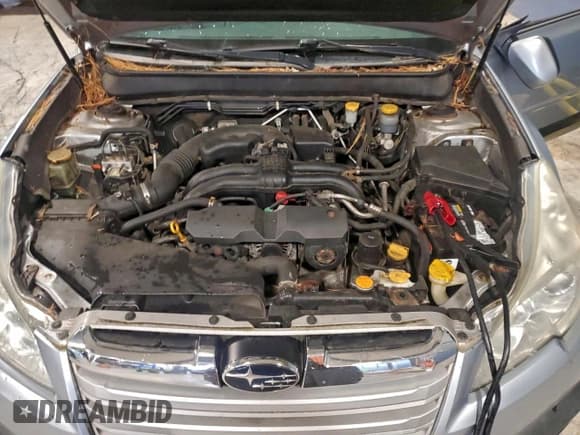 ✅ 2013 Subaru Outback Premium • VIN: 4S4BRBCCXD1269375 • Lot: 95088375. Wystawiony na Copart z przebiegiem 172 124 mil. Bezpłatny archiwum sprzedaży aukcyjnych z USA i szczegółowy raport historii pojazdu na DreamBid. Zdjęcie 11.