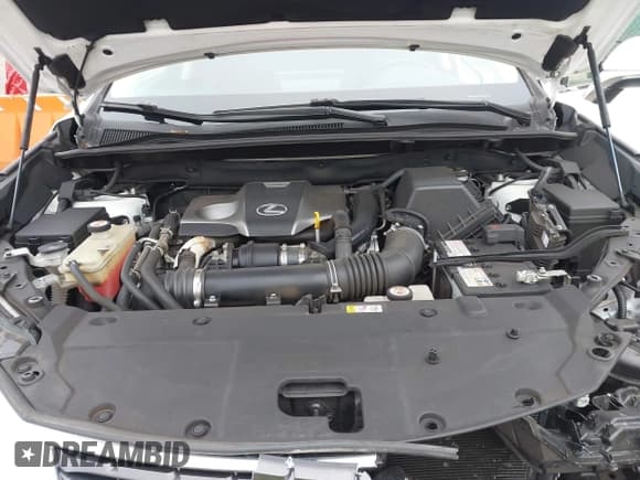 ✅ 2021 Lexus NX 300 • VIN: JTJDARBZ5M5031510 • Lot: 43296113. Listed on IAAI with 53,850 mi. Free auction sales archive from the USA and detailed vehicle history report at DreamBid. Image 10.