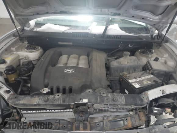 2005 Hyundai Santa Fe GLS с VIN KM8SC73D05U995172, выставлен на аукционе IAAI как лот 41525463 с пробегом Не указан миль и . История ставок и продаж доступна на DreamBid. Изображение 10.