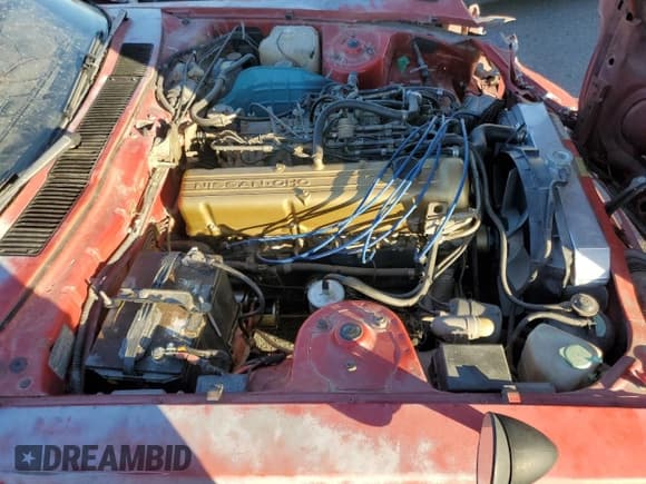 ✅ 1983 Datsun 280ZX • VIN: JN1HZ04S0DX569855 • Лот: 74027594. Опубликован ранее на Copart с пробегом 12 300 миль. Бесплатный доступ к архиву аукционных продаж из США и подробный отчёт об истории автомобиля на DreamBid. Изображение 11.