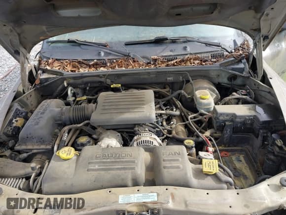 ✅ 2001 Dodge Durango • VIN: 1B4HR28N51F542517 • Lot: 42471264. Wystawiony na IAAI z przebiegiem 145 038 mil. Bezpłatny archiwum sprzedaży aukcyjnych z USA i szczegółowy raport historii pojazdu na DreamBid. Zdjęcie 10.