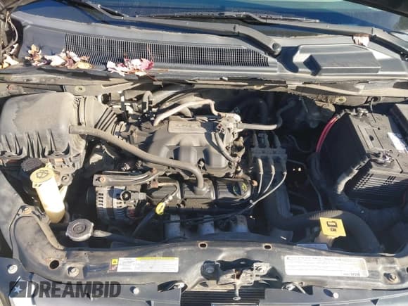 ✅ 2010 Dodge Grand Caravan SXT • VIN: 2D4RN5D18AR209702 • Lot: 43569457. Wystawiony na IAAI z przebiegiem 183 732 mil. Bezpłatny archiwum sprzedaży aukcyjnych z USA i szczegółowy raport historii pojazdu na DreamBid. Zdjęcie 10.