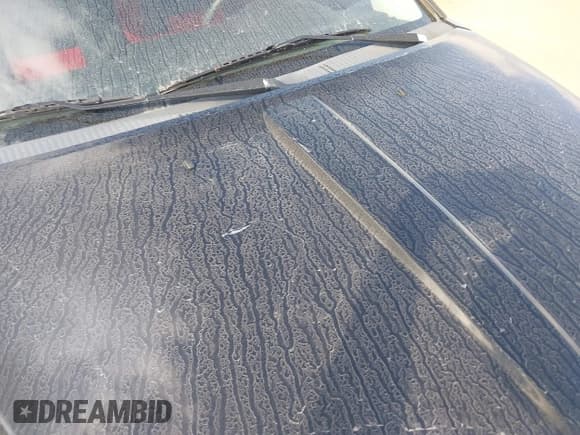 ✅ 2008 Dodge Caliber SXT • VIN: 1B3HB48B98D506460 • Lot: 41829536. Listed on IAAI with 61,826 mi. Free auction sales archive from the USA and detailed vehicle history report at DreamBid. Image 12.