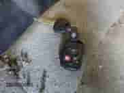 2005 Hyundai Santa Fe GLS z VIN KM8SC73E75U025683, wystawiony jako IAAI lot #40863700 z przebiegiem 129 970 mil mil oraz . Historia ofert i sprzedaży dostępna na DreamBid. Obrazek 11.