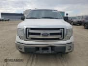 ✅ 2014 Ford F-150 XL • VIN: 1FTVX1EF8EKE15258 • Лот: 84421685. Опубликован ранее на Copart с пробегом 216 256 миль. Бесплатный доступ к архиву аукционных продаж из США и подробный отчёт об истории автомобиля на DreamBid. Изображение 5.