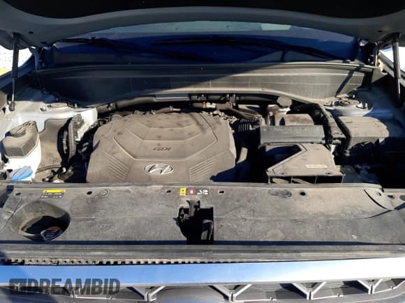 ✅ 2020 Hyundai Palisade Limited • VIN: KM8R5DHE3LU049136 • Лот: 70234254. Опубликован ранее на Copart с пробегом 94 963 миль. Бесплатный доступ к архиву аукционных продаж из США и подробный отчёт об истории автомобиля на DreamBid. Изображение 12.