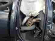 2019 Ram 1500 Express with VIN 1C6RR7FG2KS632409, listed as a Copart auction lot 82521654 with Not provided miles and Salvage title. Bid and sale history available at DreamBid. Image 10.