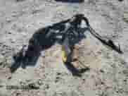 2021 Dodge Challenger R/T with VIN 2C3CDZBT4MH571347, listed as a Copart auction lot 86241135 with 76,060 mi miles and Salvage title. Bid and sale history available at DreamBid. Image 12.