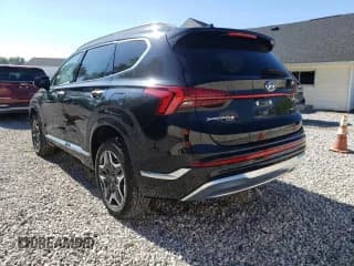 ✅ 2021 Hyundai Santa Fe Calligraphy • VIN: 5NMS5DAL8MH329254 • Лот: 58724532. Опубликован ранее на Copart с пробегом 24 175 миль. Бесплатный доступ к архиву аукционных продаж из США и подробный отчёт об истории автомобиля на DreamBid. Изображение 3.