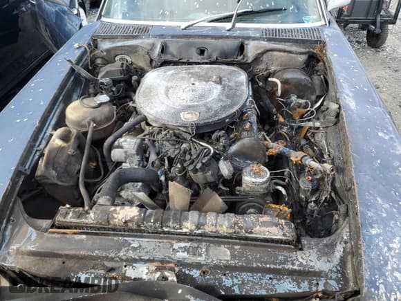 ✅ 1981 Mercedes-Benz 380 SL • VIN: WDBBA45A1BB004630 • Lot: 87215664. Wystawiony na Copart z przebiegiem 8 882 mil. Bezpłatny archiwum sprzedaży aukcyjnych z USA i szczegółowy raport historii pojazdu na DreamBid. Zdjęcie 11.