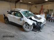 ✅ 2019 Jeep Cherokee Trailhawk • VIN: 1C4PJMBX1KD200300 • Lot: 41781465. Listed on IAAI with Not provided. Free auction sales archive from the USA and detailed vehicle history report at DreamBid. Image 1.