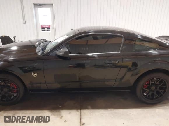 ✅ 2009 Ford Mustang GT • VIN: 1ZVHT82HX95119182 • Лот: 41345075. Опубликован ранее на IAAI с пробегом 145 202 миль. Бесплатный доступ к архиву аукционных продаж из США и подробный отчёт об истории автомобиля на DreamBid. Изображение 15.