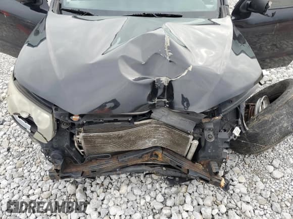 ✅ 2010 Hyundai Santa Fe GLS • VIN: 5NMSG3ABXAH391679 • Lot: 82174384. Listed on Copart with 219,232 mi. Free auction sales archive from the USA and detailed vehicle history report at DreamBid. Image 13.