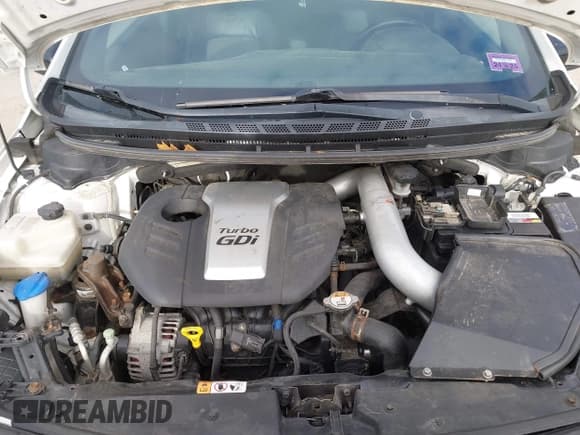 ✅ 2015 Kia Forte SX • VIN: KNAFZ5A39F5388165 • Lot: 43575162. Listed on IAAI with 161,760 mi. Free auction sales archive from the USA and detailed vehicle history report at DreamBid. Image 10.