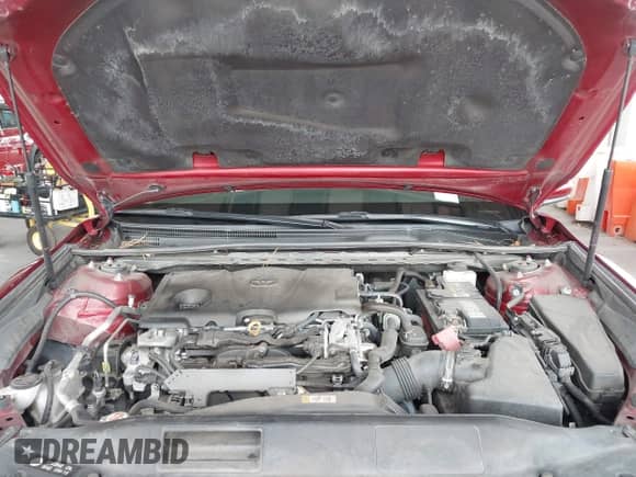 2019 Toyota Camry LE with VIN 4T1B11HK9KU681980, listed as a IAAI auction lot 43083575 with 117,268 mi miles and . Bid and sale history available at DreamBid. Image 10.