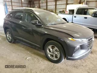 ✅ 2023 Hyundai Tucson SEL • VIN: 5NMJBCAEXPH216765 • Lot: 52007373. Wystawiony na Copart z przebiegiem 2 314 mil. Bezpłatny archiwum sprzedaży aukcyjnych z USA i szczegółowy raport historii pojazdu na DreamBid. Zdjęcie 4.