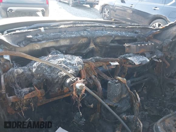 ✅ 2019 Kia Soul • VIN: KNDJN2A27K7026171 • Лот: 41271215. Опубликован ранее на IAAI с пробегом Не указан. Бесплатный доступ к архиву аукционных продаж из США и подробный отчёт об истории автомобиля на DreamBid. Изображение 7.