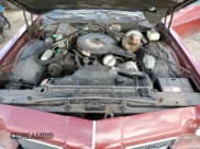 ✅ 1973 Oldsmobile Cutlass • VIN: 3J57K3R163474 • Lot: 76600454. Wystawiony na Copart z przebiegiem 29 068 mil. Bezpłatny archiwum sprzedaży aukcyjnych z USA i szczegółowy raport historii pojazdu na DreamBid. Zdjęcie 11.