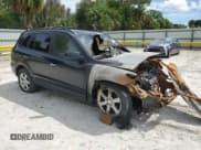 ✅ 2009 Hyundai Santa Fe Limited • VIN: 5NMSH13E09H243240 • Lot: 71191495. Listed on Copart with Not provided. Free auction sales archive from the USA and detailed vehicle history report at DreamBid. Image 4.