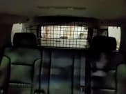 ✅ 2016 Chevrolet Tahoe Commercial • VIN: 1GNSKDEC7GR342426 • Lot: 93695315. Listed on Copart with 113,787 mi. Free auction sales archive from the USA and detailed vehicle history report at DreamBid. Image 10.