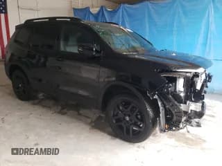 ✅ 2025 Honda Passport Black Edition • VIN: 5FNYF8H80SB002779 • Lot: 75640054. Wystawiony na Copart z przebiegiem 269 mil. Bezpłatny archiwum sprzedaży aukcyjnych z USA i szczegółowy raport historii pojazdu na DreamBid. Zdjęcie 4.